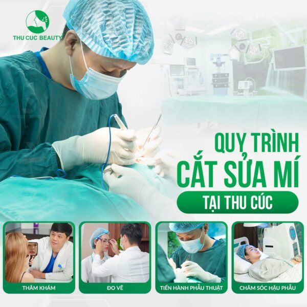 cat sua mi e1784108567935