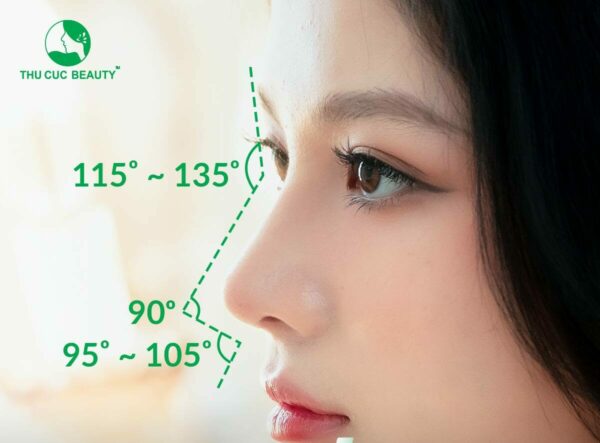 Các dáng mũi đẹp hiện nay, nâng mũi ở đâu uy tín? 1 Tiêu chuẩn nâng mũi đẹp