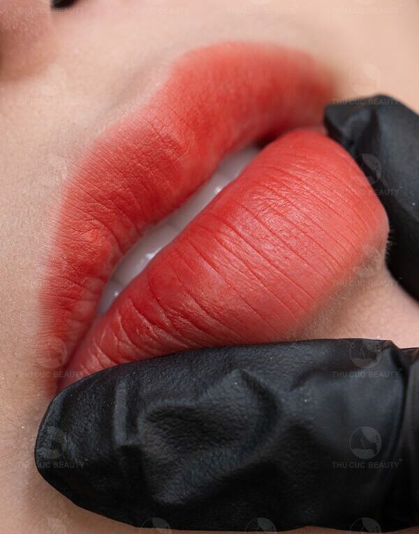 gia cay moi sinh hoc e1761724349202