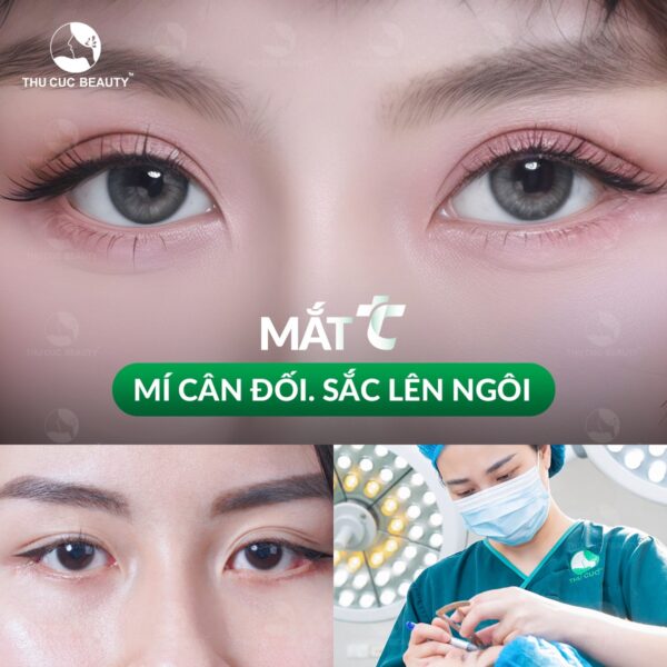 cat mi mat tai thu cuc e1768901607548